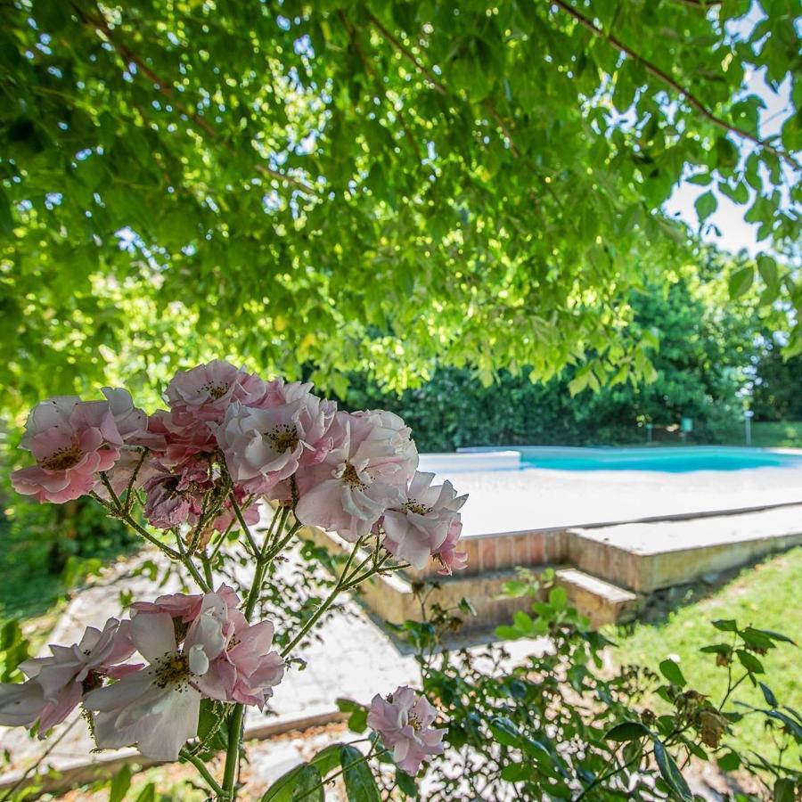 Porto Levante Borgo Del Nibbio 아파트 외부 사진