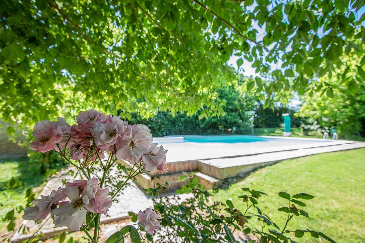 Porto Levante Borgo Del Nibbio 아파트 외부 사진